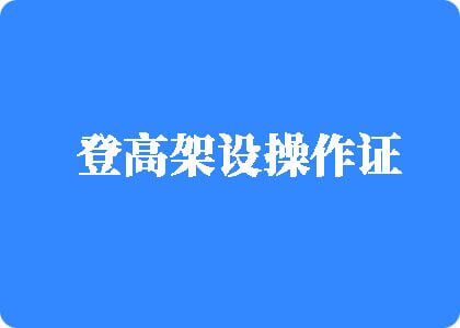 靠逼免费网站登高架设操作证